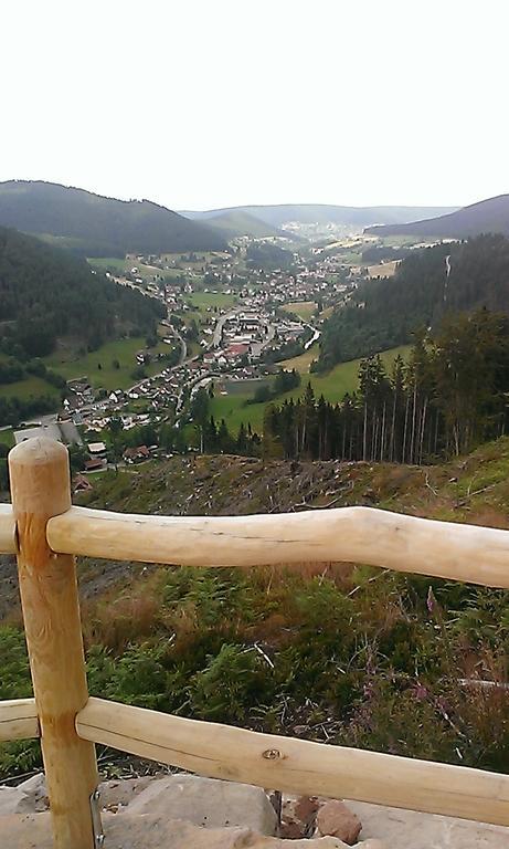 Martina Frey Ferienwohnungen Baiersbronn Kültér fotó